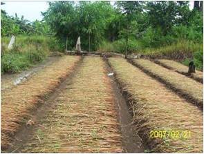 aplikasi kompos promi