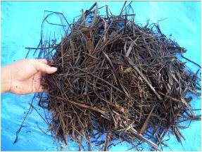 bahan kompos promi yang lain