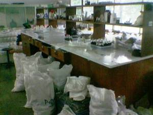 lab apa gudang