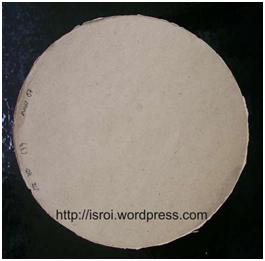 handsheet biopulping