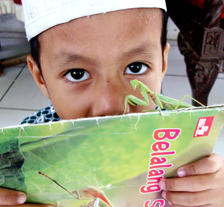 Ibrahim bercanda dengan belalang sentadu