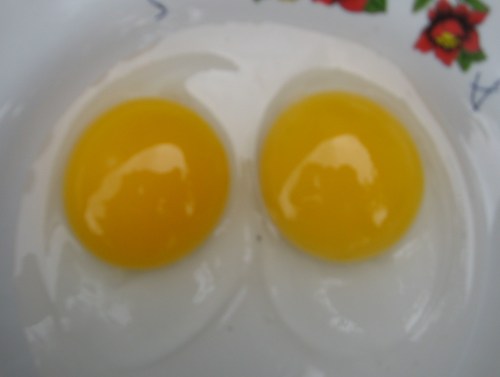 telurbebek04 telurbebek04