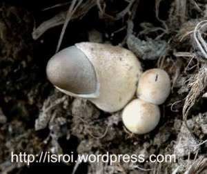 dsc_2845_b dsc_2845_b