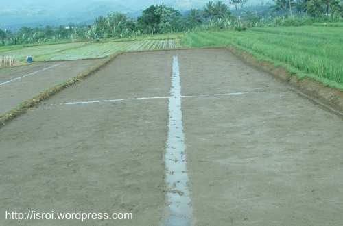 aku dan pak haji zaka sawahpakhaji02.jpg