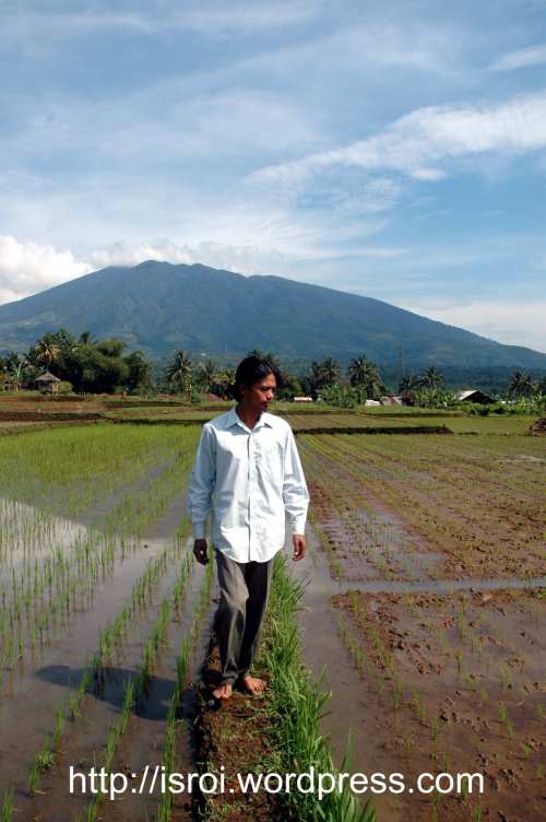 aku dan pak haji zaka sawahpakhaji04.jpg