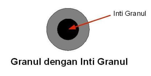 granul inti