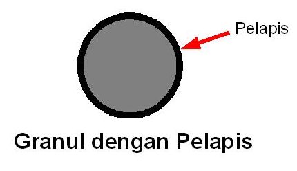 granul_pelapis