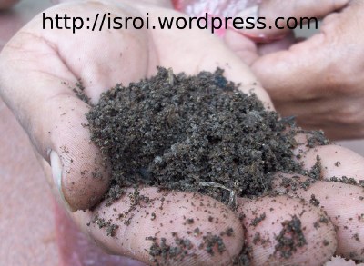 Sampel kohe, kotoran hewan