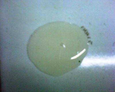 sirup tkks dikerubuti semut