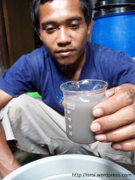 ekstrak jeringau pestisida nabati