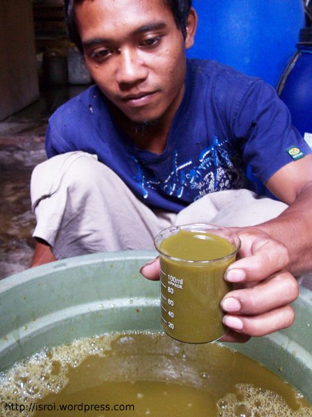 ekstrak suren pestisida nabati