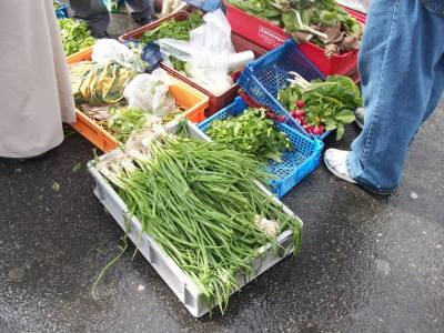 kviberg gotenborg sweden