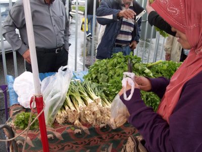 kviberg gotenborg sweden