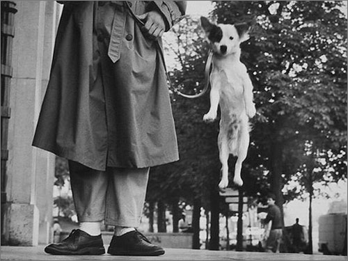 (C) Elliot Erwitt
http://www.elliotterwitt.com/