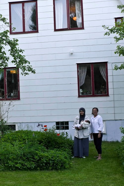 Rumah Khas Swedia milik Gosta dilihat dari belakang