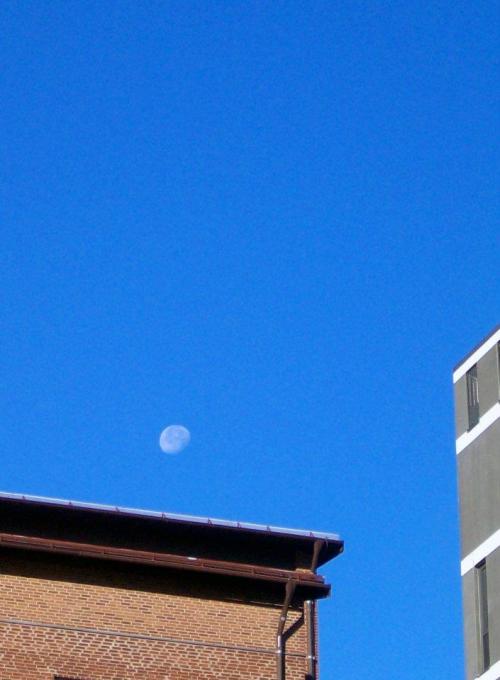 302382_2353722330838_1194841915_n