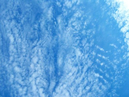 307536_2315354611669_6316642_n