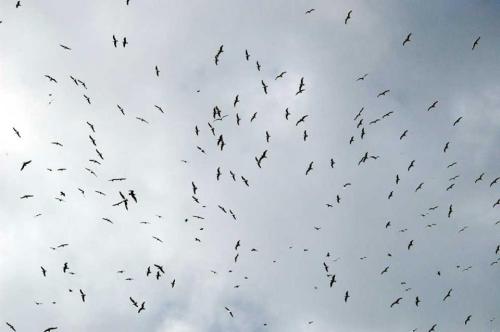 308171_2315355531692_1446523_n