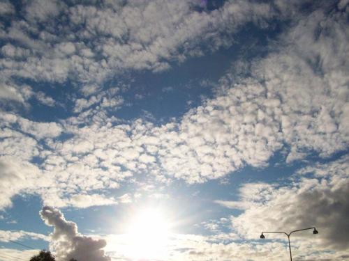 312654_2353722890852_441138960_n (1)