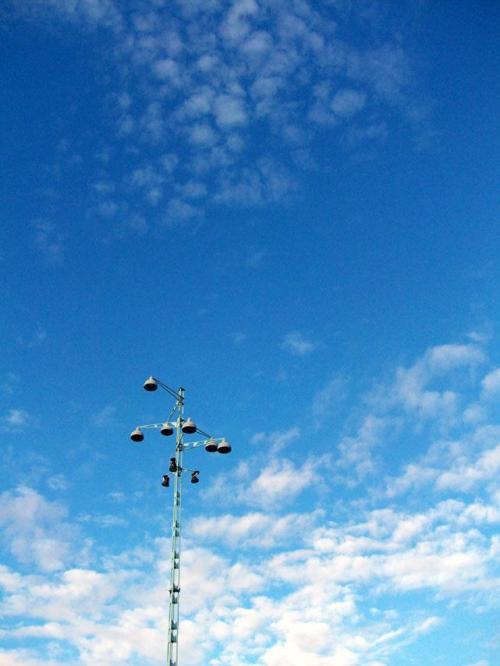 312907_2353723010855_817834_n