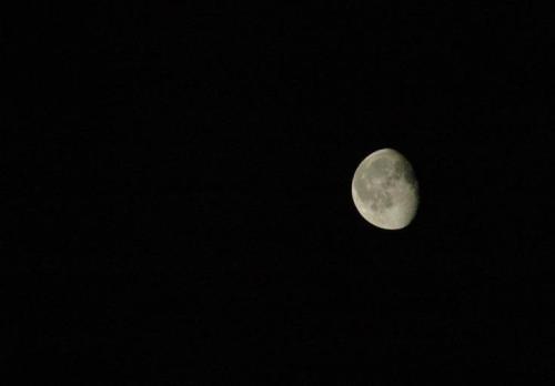 314341_2358361086804_1599437851_n