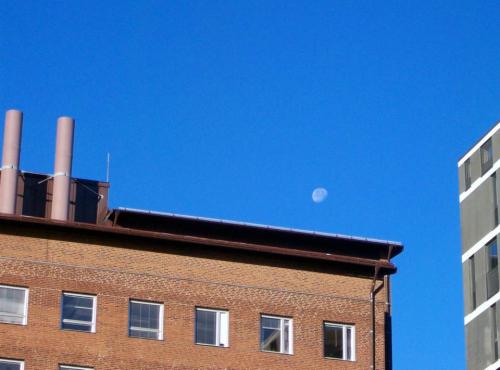 320492_2353723250861_1045876834_n