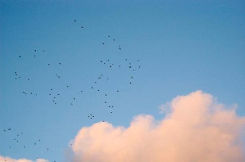 375531_2699978907036_1668808686_n