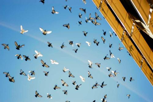 422132_3240741465762_1743021601_n