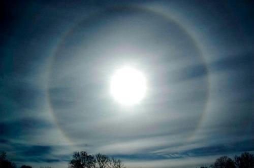 551045_3610283704087_961717834_n