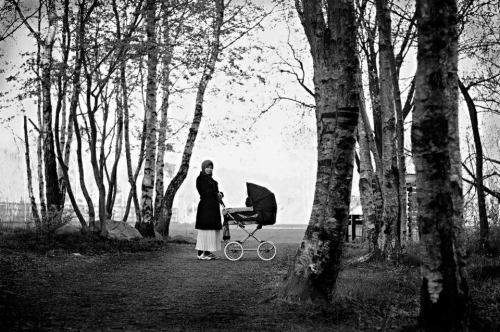 Ummi mengajak Yusuf berjalan-jalan di hutan Svartemosse