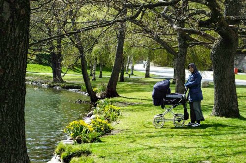 Jalan-jalan ke taman menikmati hangatnya musim semi