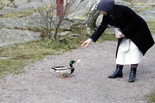 Memberi makan bebek di tepian danau Svartemosse. Pagi hasi sebelum sorenya masuk kamar bersalin.