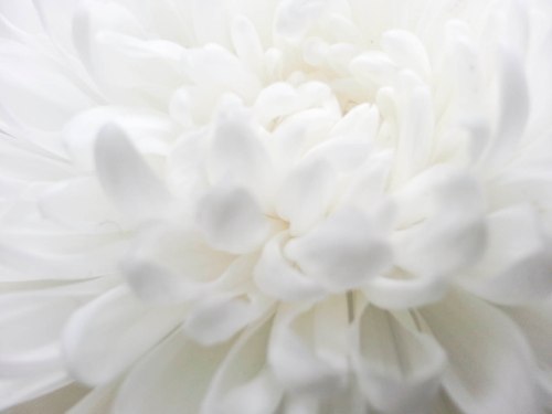 tip fotografi high key