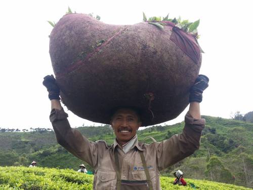 Fotografi portrait http://isroi.com