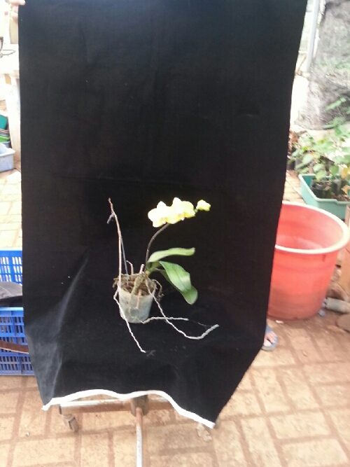 hdr_1399769031418.jpg image