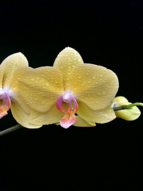 hdr_1399769077611.jpg image