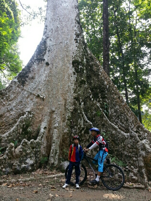 hdr_1414167264419.jpg image