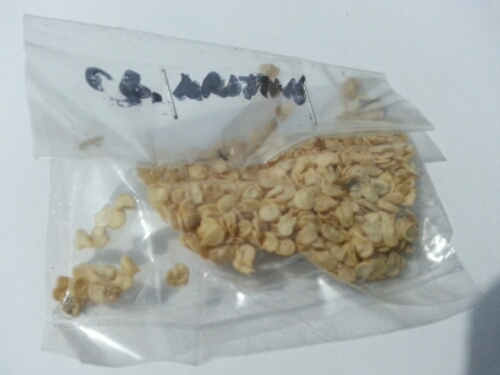 20141122_203144.jpg image