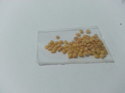 20141122_203328.jpg image