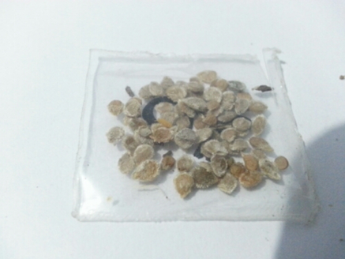 20141122_203351.jpg image