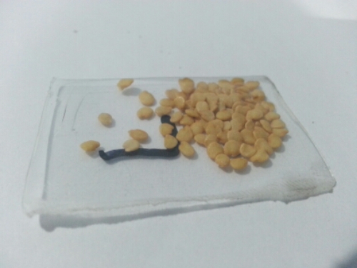 20141122_203403.jpg image