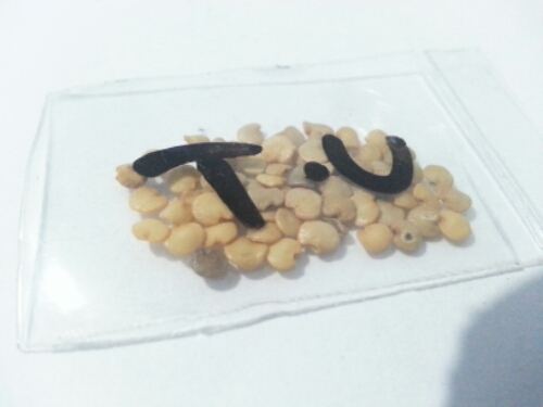 20141122_203414.jpg image