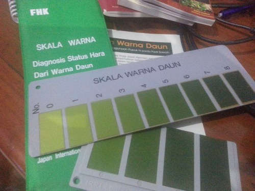 Bagan warna daun (BWD), bagan warna untuk meningkatkan efisiensi pemupukan N.