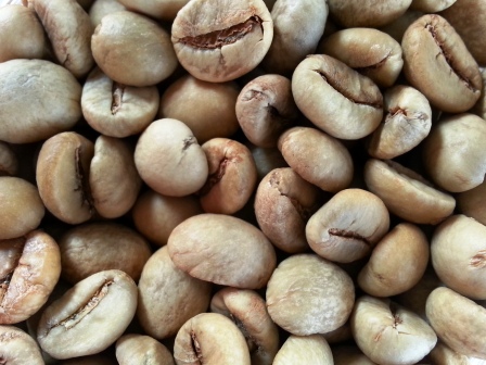 Kopi Banaran Samsung Note 2 Fotografi Ponsel Android