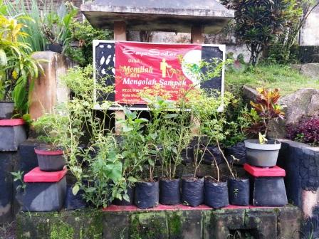 Menanam sayuran di dalam polybag di pekarangan.