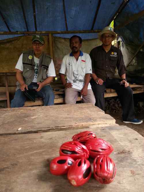 Dominggus Nones Andriko Assegaf