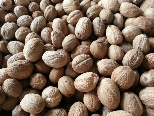 pala organik grade A