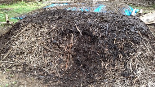 kompos pelepah sawit promi