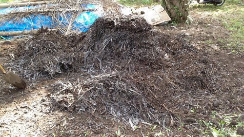 Kompos pelepah sawit promi