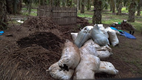 kompos pelepah sawit promi